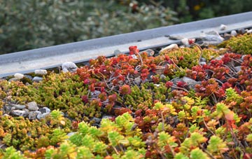 the cost of Platt green roof installation