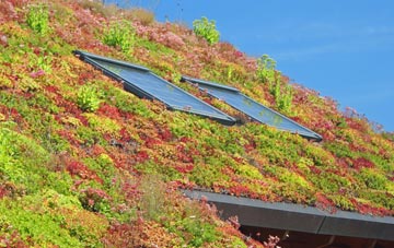 Platt living roof systems